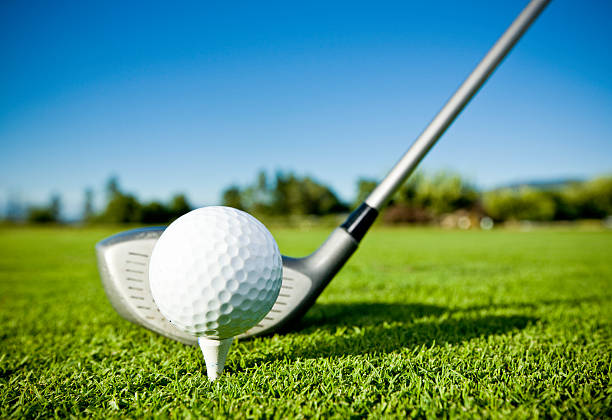 2-section telescopic golf putter