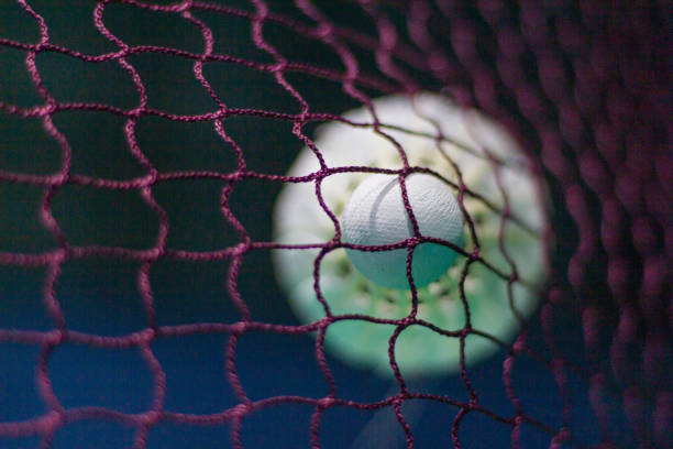 indoor hitting net golf